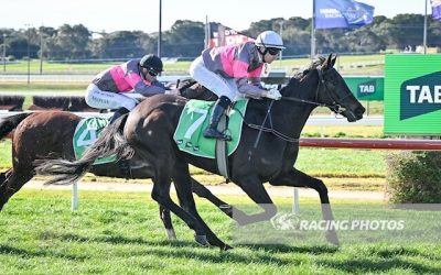 Home track double
