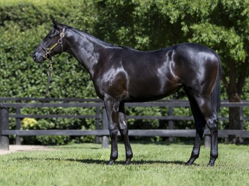 Dirty Work X Testa The Water