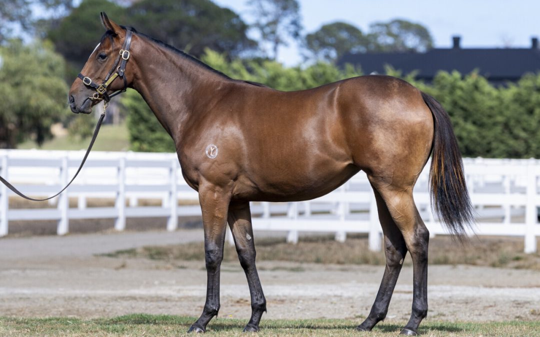 Lucky Vega X Sacred Snow