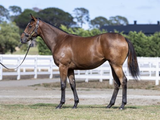 Lucky Vega X Sacred Snow